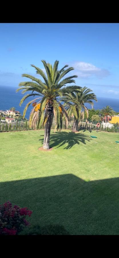 Vista Mar Azul Elegante Y Acogedor Lejlighed Santa Úrsula Eksteriør billede